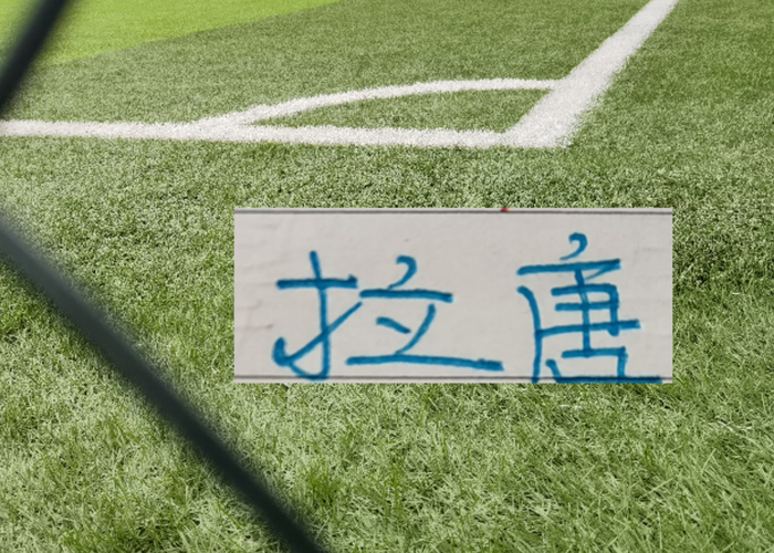 申花新援拉唐领跑射手榜 抗伤能力成球队关键